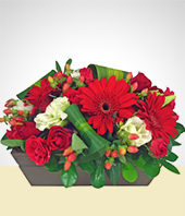 Flores - Jardn Escarlata - Arreglo Premium