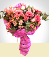 Gerbera - Bouquet Elegante