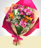 Felicitaciones - Bouquet de Astromelias